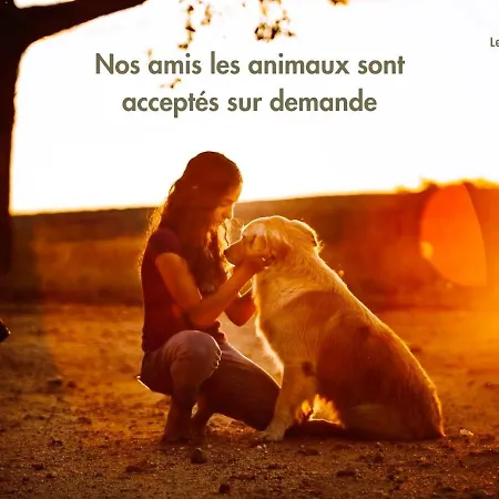 Le Boheme Nature Piscine Chauffee Privee Du Tarn Entre Toulouse Et Albi & Les Du Tarn *