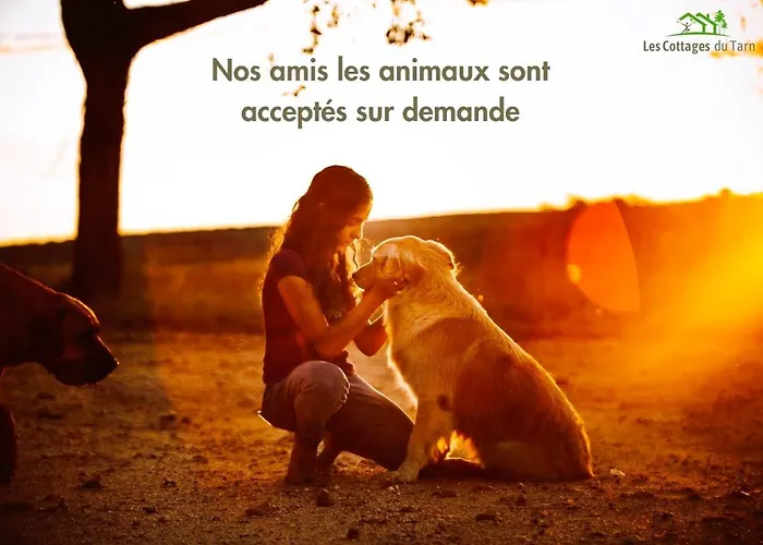 Le Boheme Nature Piscine Chauffee Privee Du Tarn Entre Toulouse Et Albi & Les Du Tarn *